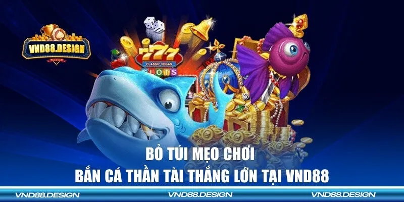 Những mẹo hay ngư thủ cần ghi nhớ khi săn cá