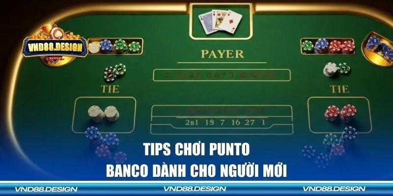 Tips chơi Punto Banco dành cho người mới 